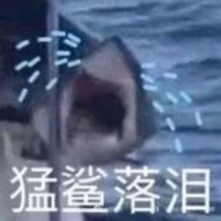 活着也没啥意义