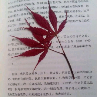 小小