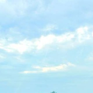 骑驴去流浪