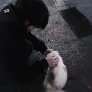 妮莎的狗