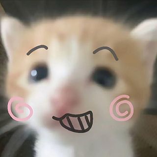 晚莹