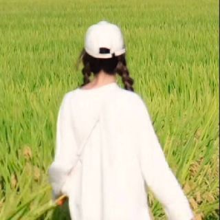 哒哒
